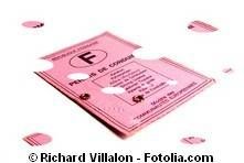 Récupération points permis