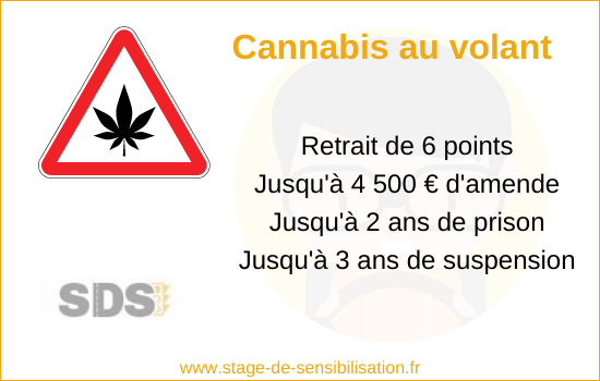 Le cannabis au volant : effets, risques et sanctions.